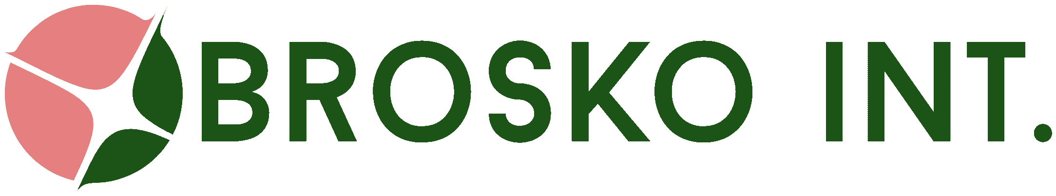 Brosko int logo new